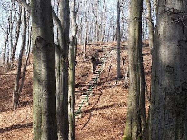 Vorträge zu ausgewählten Chemnitzer heimatkundlichen Themen aus Kultur- und Naturgeschichte