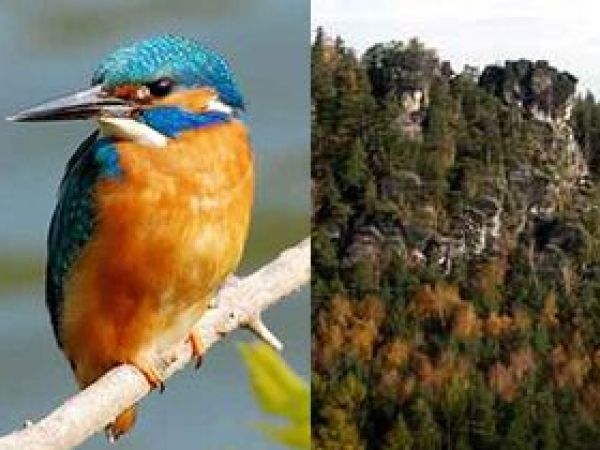 Mit Zertifizierten Natur- und Landschaftsführer unterwegs in Sachsen