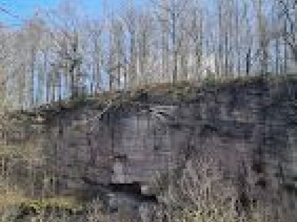 Steinbruchabbauwand ehemaliger Findewirth'scher Steinbruch